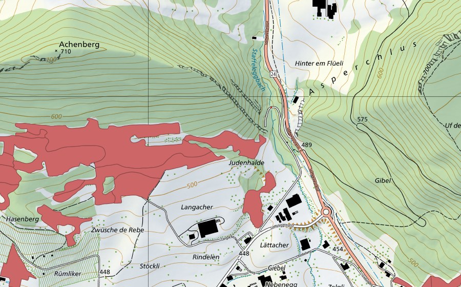 swisstopo national map showing the protected perimeter of Acheberg (Dry meadow)