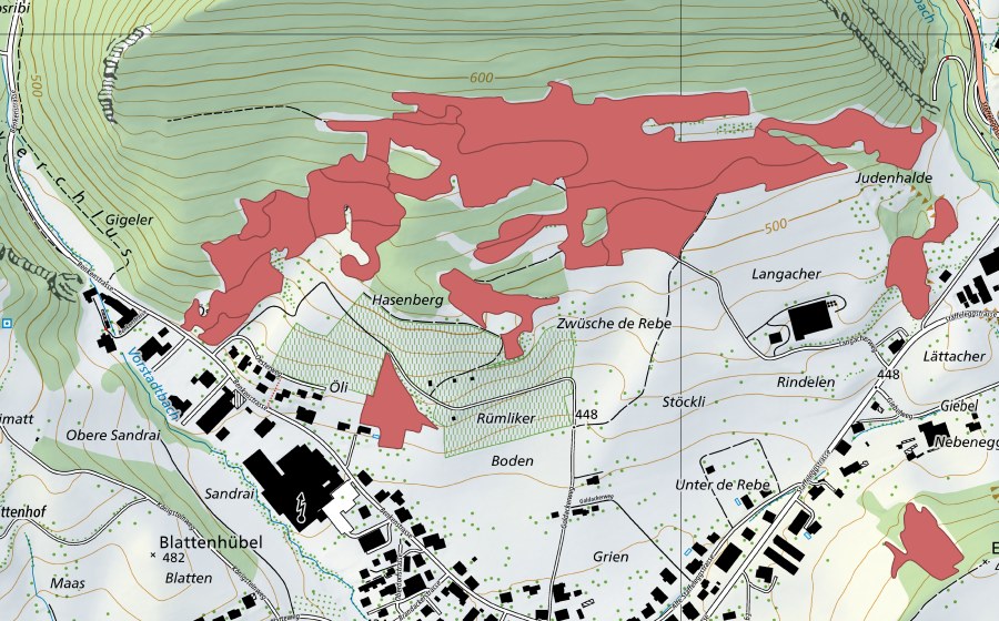 swisstopo national map showing the protected perimeter of Acheberg (Dry meadow)