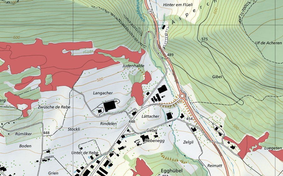 swisstopo national map showing the protected perimeter of Acheberg (Dry meadow)