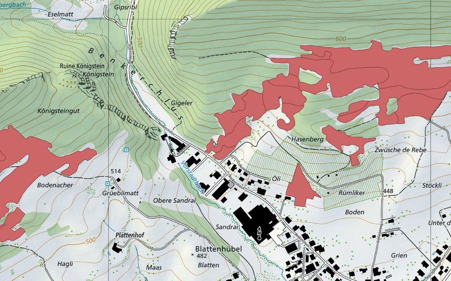 swisstopo national map showing the protected perimeter of Acheberg (Dry meadow)