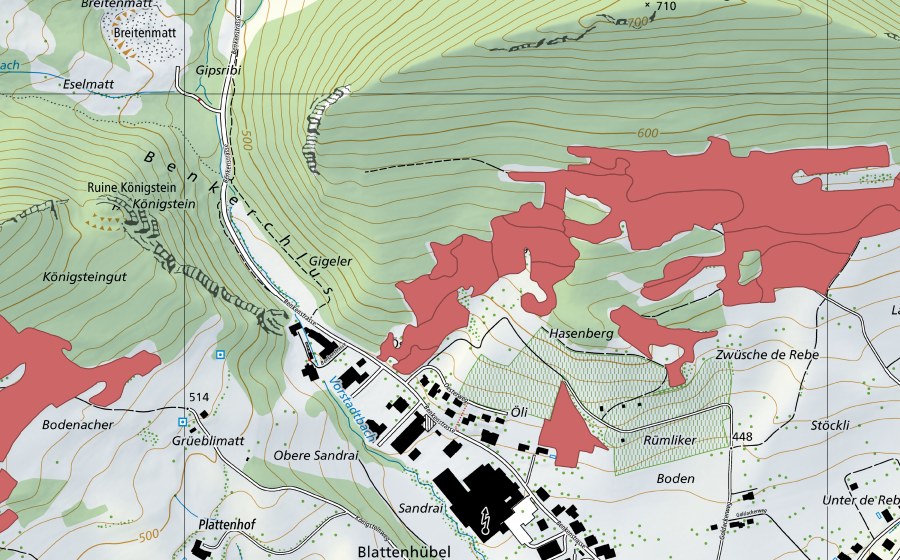 Landeskarte swisstopo mit dem Schutzperimeter von Acheberg (Trockenwiese)