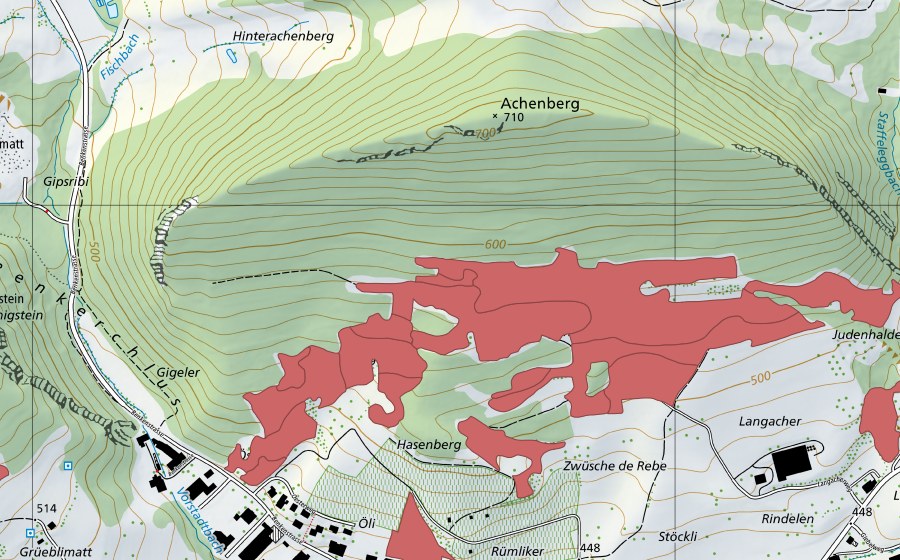 swisstopo national map showing the protected perimeter of Acheberg (Dry meadow)