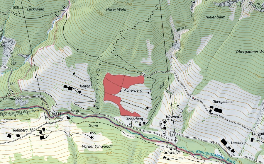 swisstopo national map showing the protected perimeter of Acherberg (Dry meadow)