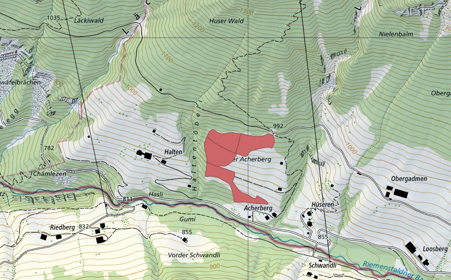 Landeskarte swisstopo mit dem Schutzperimeter von Acherberg (Trockenwiese)