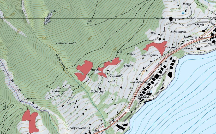 Carte nationale swisstopo avec le périmètre protégé de Acherli (Prairie sèche)
