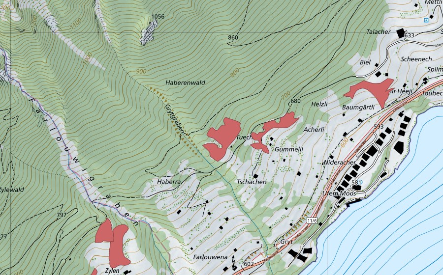 Landeskarte swisstopo mit dem Schutzperimeter von Acherli (Trockenwiese)