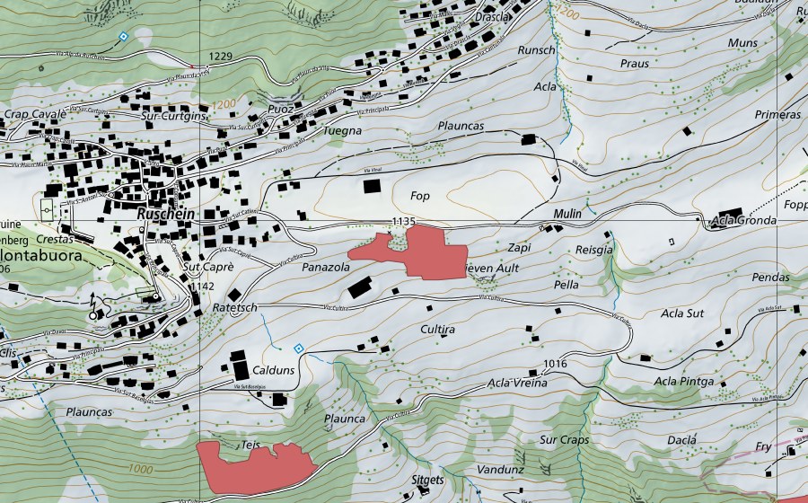 Carte nationale swisstopo avec le périmètre protégé de Acla Gronda (Prairie sèche)