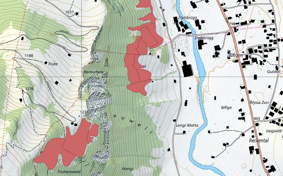 swisstopo national map showing the protected perimeter of Adelrain (Dry meadow)