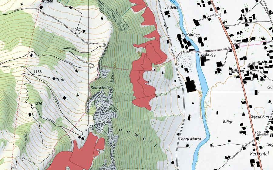 Landeskarte swisstopo mit dem Schutzperimeter von Adelrain (Trockenwiese)