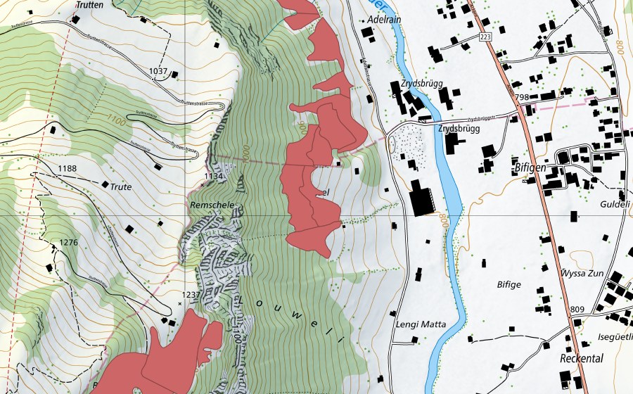 Landeskarte swisstopo mit dem Schutzperimeter von Adelrain (Trockenwiese)