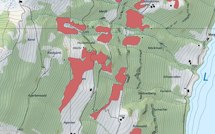Landeskarte swisstopo mit dem Schutzperimeter von Ägerten (Trockenwiese)