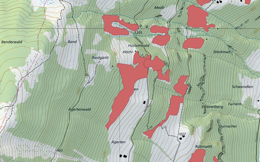 swisstopo national map showing the protected perimeter of Ägerten (Dry meadow)