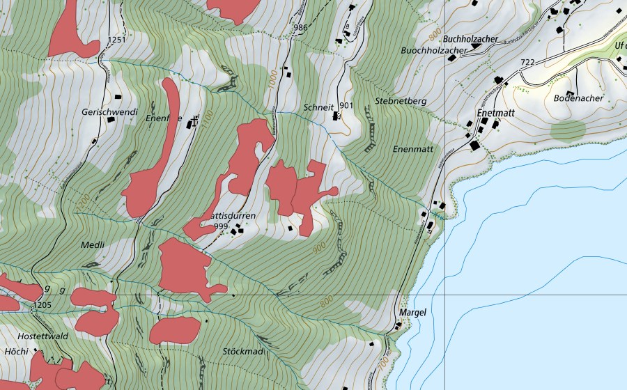 Landeskarte swisstopo mit dem Schutzperimeter von Ägerten (Trockenwiese)