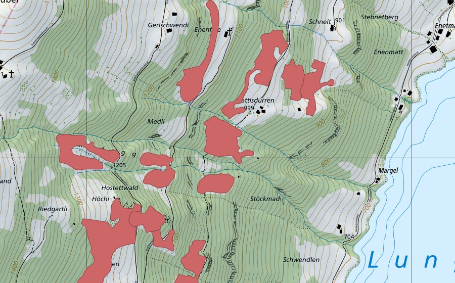 swisstopo national map showing the protected perimeter of Ägerten (Dry meadow)