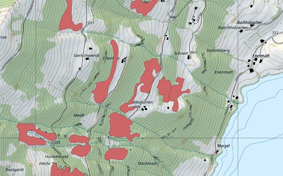 swisstopo national map showing the protected perimeter of Ägerten (Dry meadow)