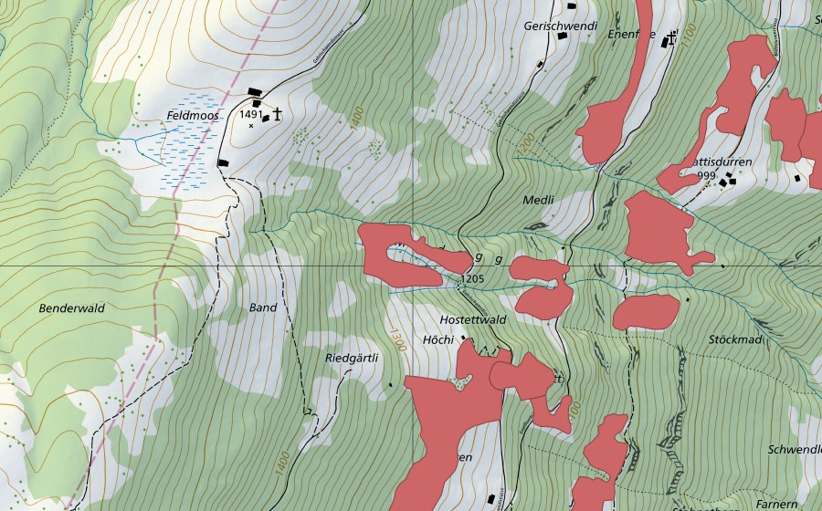 Landeskarte swisstopo mit dem Schutzperimeter von Ägerten (Trockenwiese)