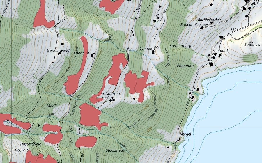 Landeskarte swisstopo mit dem Schutzperimeter von Ägerten (Trockenwiese)
