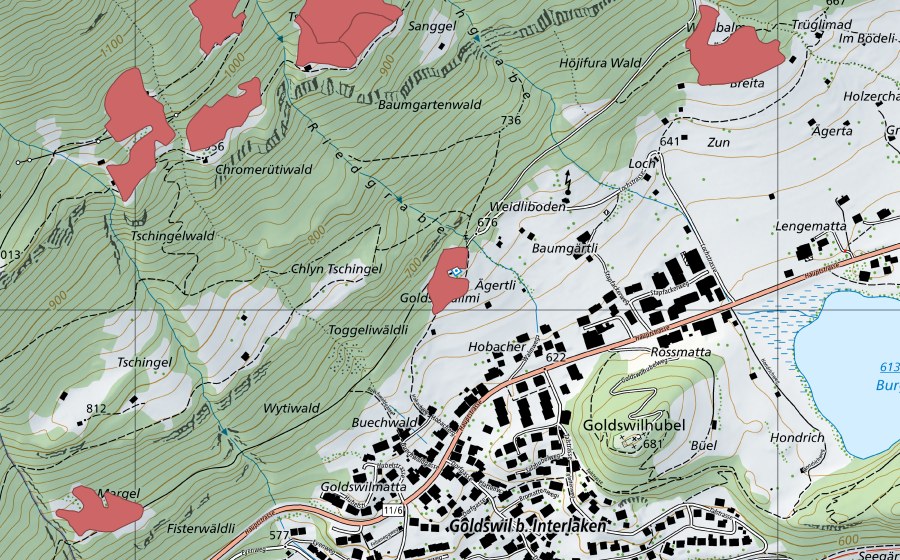 swisstopo national map showing the protected perimeter of Ägertli (Dry meadow)