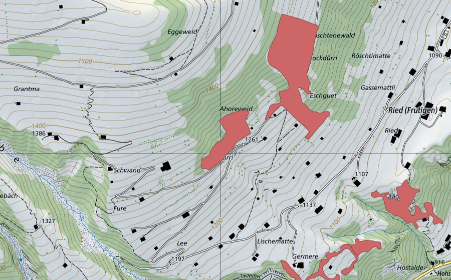 Carte nationale swisstopo avec le périmètre protégé de Ahoreweid (Prairie sèche)