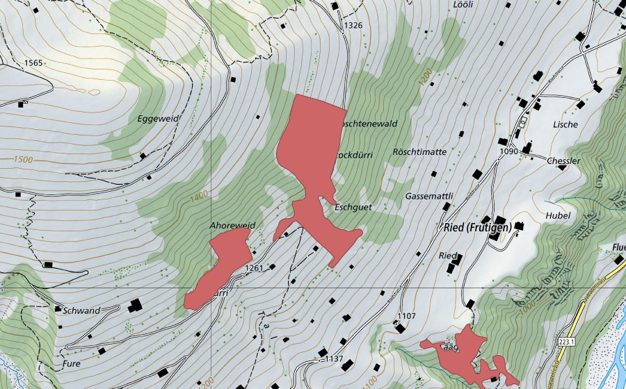 swisstopo national map showing the protected perimeter of Ahoreweid (Dry meadow)