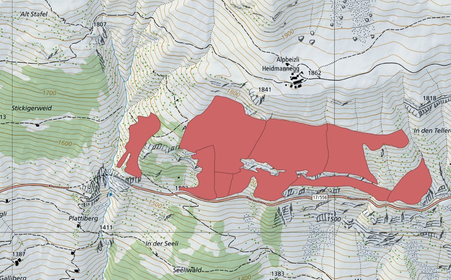 swisstopo national map showing the protected perimeter of Ahöri (Dry meadow)