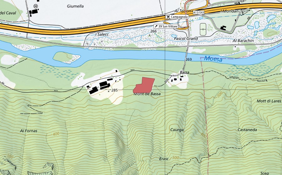 Landeskarte swisstopo mit dem Schutzperimeter von Ai Fornas (Trockenwiese)