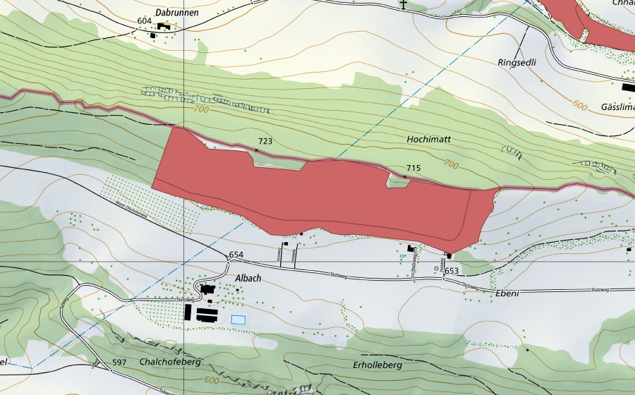 Landeskarte swisstopo mit dem Schutzperimeter von Albach (Trockenwiese)