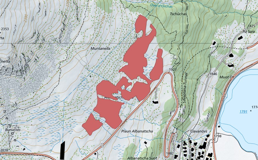 swisstopo national map showing the protected perimeter of Albanatscha (Dry meadow)