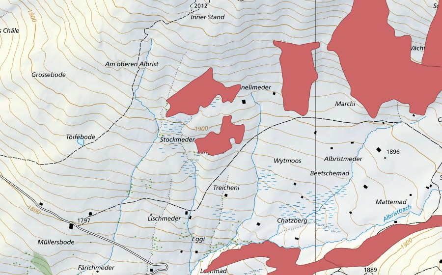 swisstopo national map showing the protected perimeter of Albristmeder (Dry meadow)