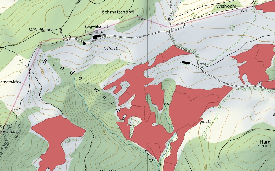 Landeskarte swisstopo mit dem Schutzperimeter von Allmend (Trockenwiese)