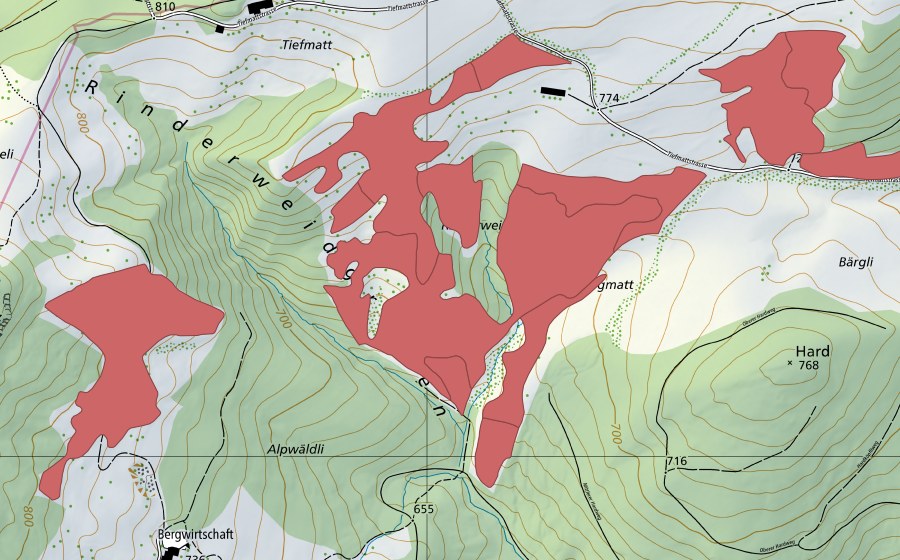 Landeskarte swisstopo mit dem Schutzperimeter von Allmend (Trockenwiese)