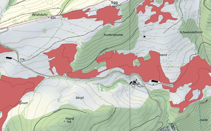 swisstopo national map showing the protected perimeter of Allmend (Dry meadow)