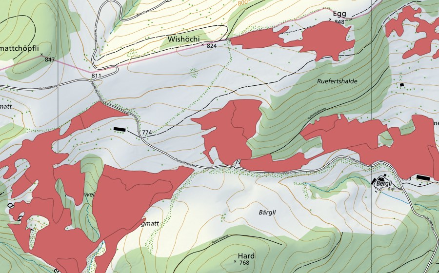 swisstopo national map showing the protected perimeter of Allmend (Dry meadow)