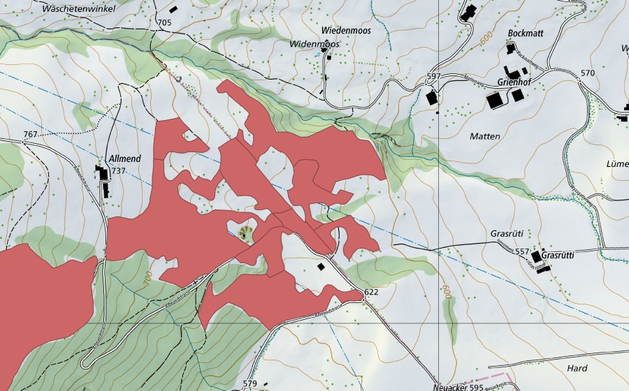 swisstopo national map showing the protected perimeter of Allmend (Dry meadow)