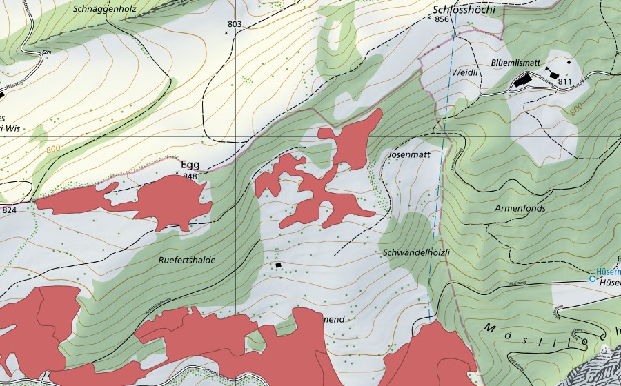 swisstopo national map showing the protected perimeter of Allmend (Dry meadow)