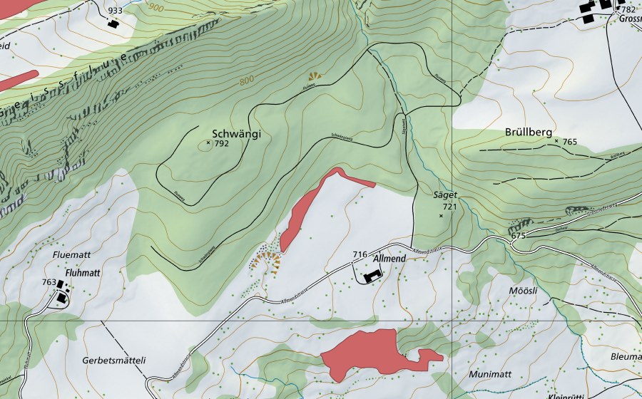 Landeskarte swisstopo mit dem Schutzperimeter von Allmend (Trockenwiese)