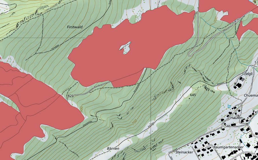 Carte nationale swisstopo avec le périmètre protégé de Allmend (Prairie sèche)