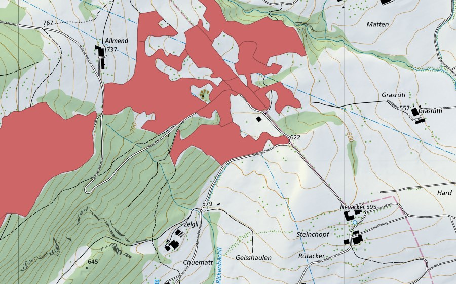 swisstopo national map showing the protected perimeter of Allmend (Dry meadow)