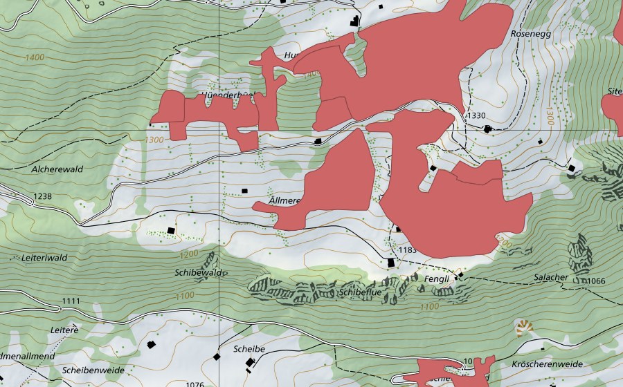 swisstopo national map showing the protected perimeter of Ällmereweide (Dry meadow)