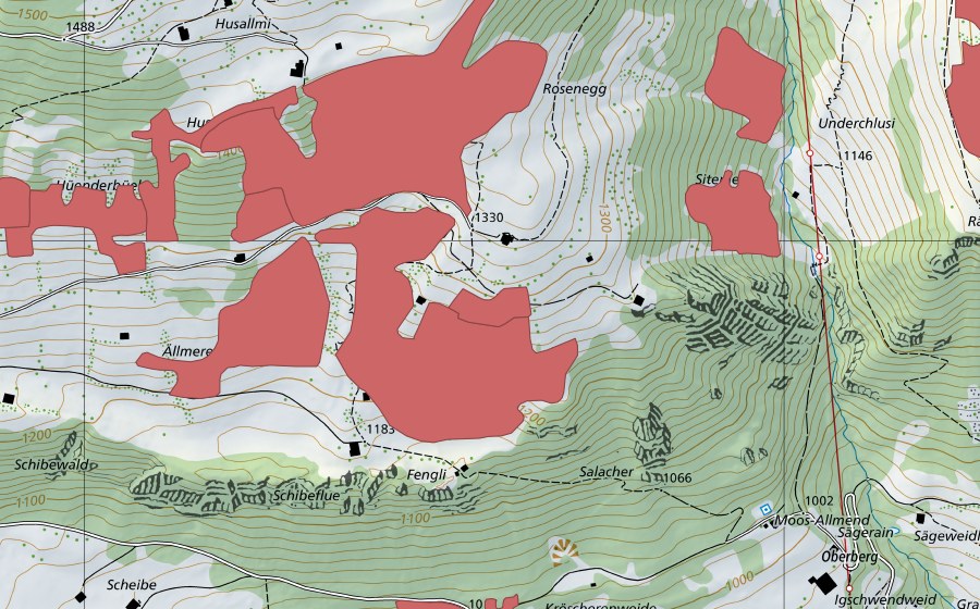 swisstopo national map showing the protected perimeter of Ällmereweide (Dry meadow)