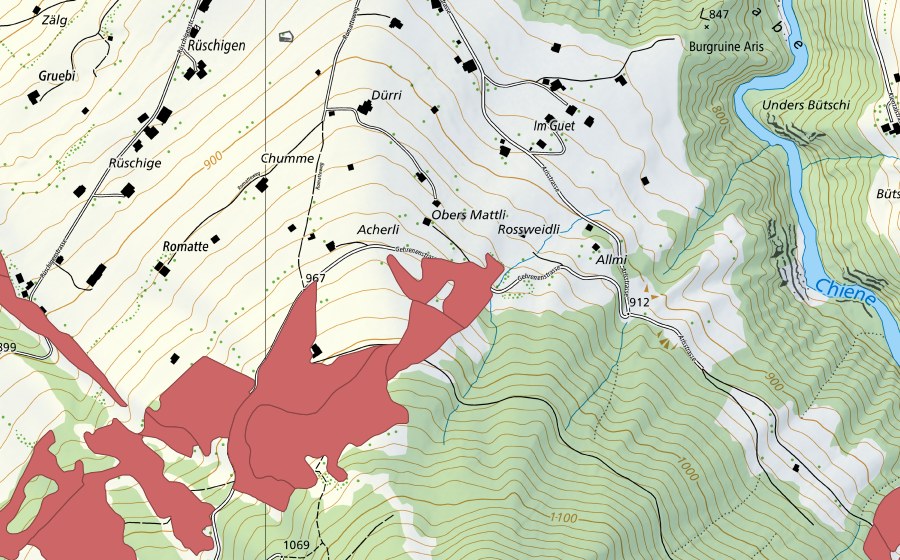swisstopo national map showing the protected perimeter of Allmi (Dry meadow)