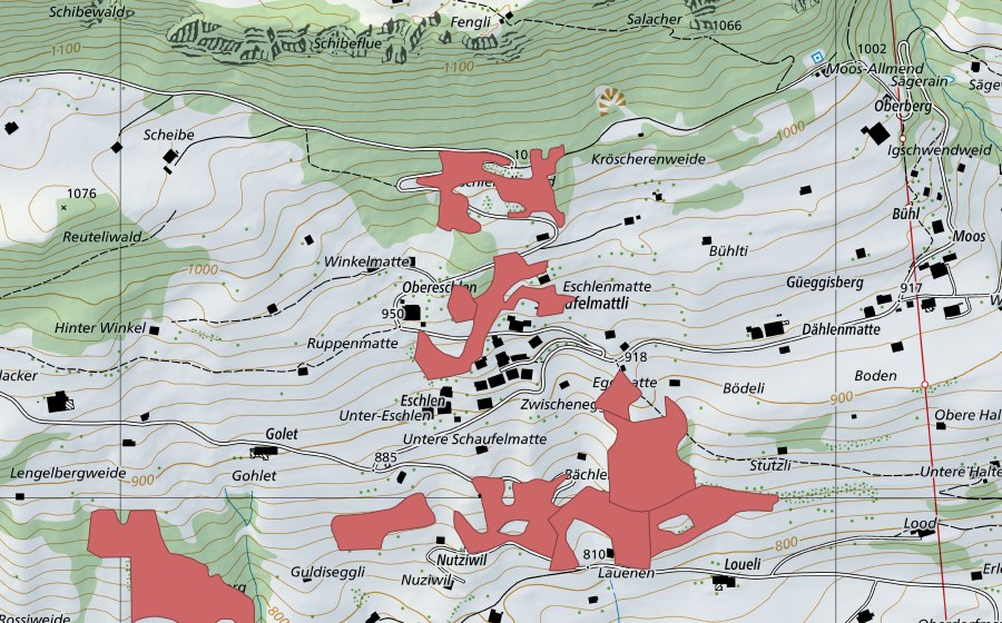swisstopo national map showing the protected perimeter of Allmi (Dry meadow)