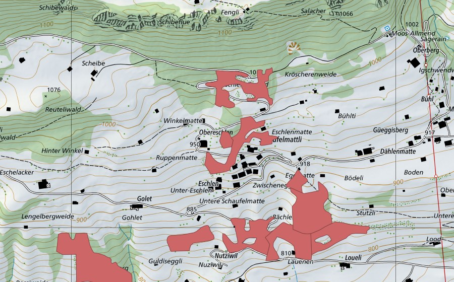 swisstopo national map showing the protected perimeter of Allmi (Dry meadow)