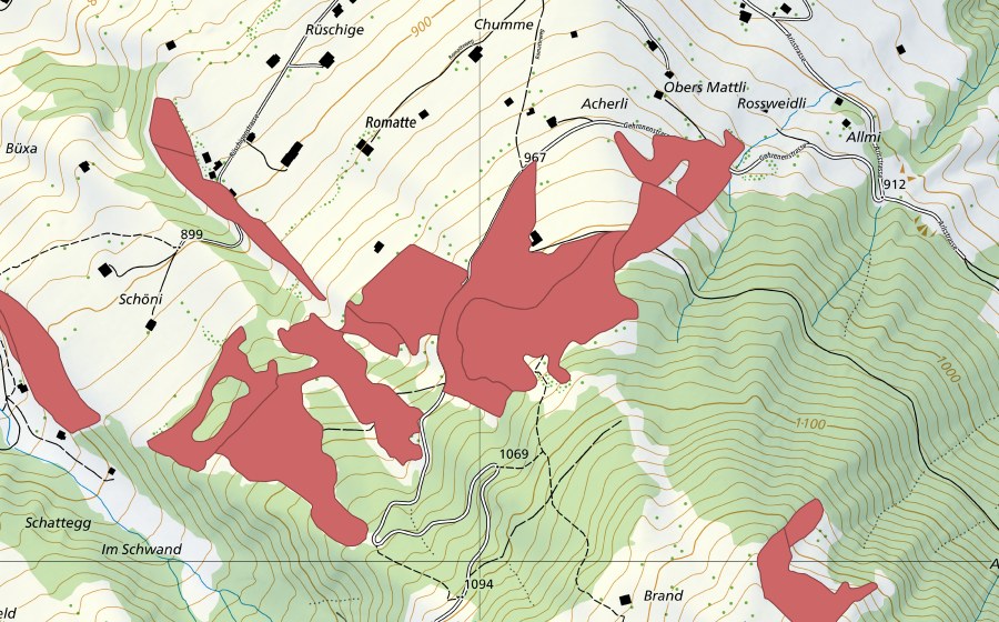 Landeskarte swisstopo mit dem Schutzperimeter von Allmi (Trockenwiese)