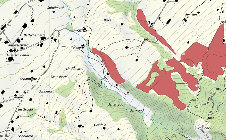 Landeskarte swisstopo mit dem Schutzperimeter von Allmi (Trockenwiese)