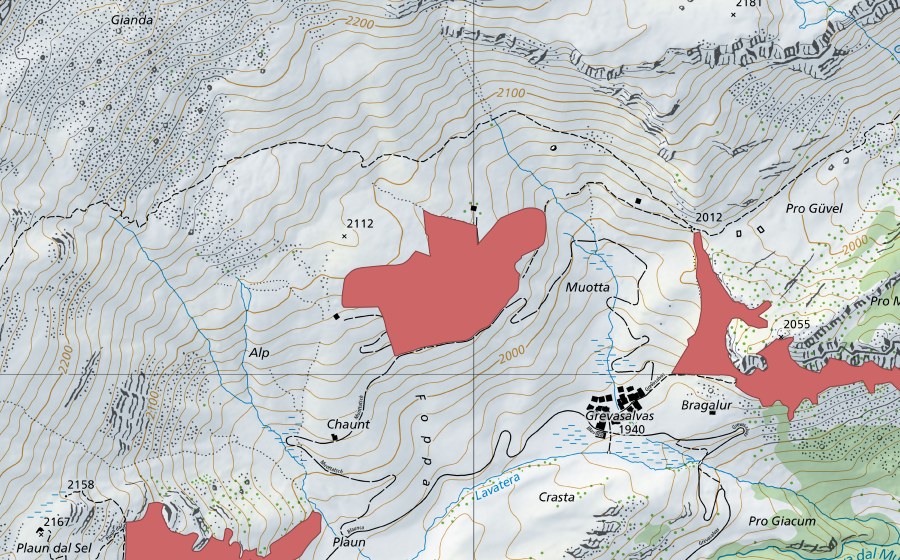 swisstopo national map showing the protected perimeter of Alp (Dry meadow)