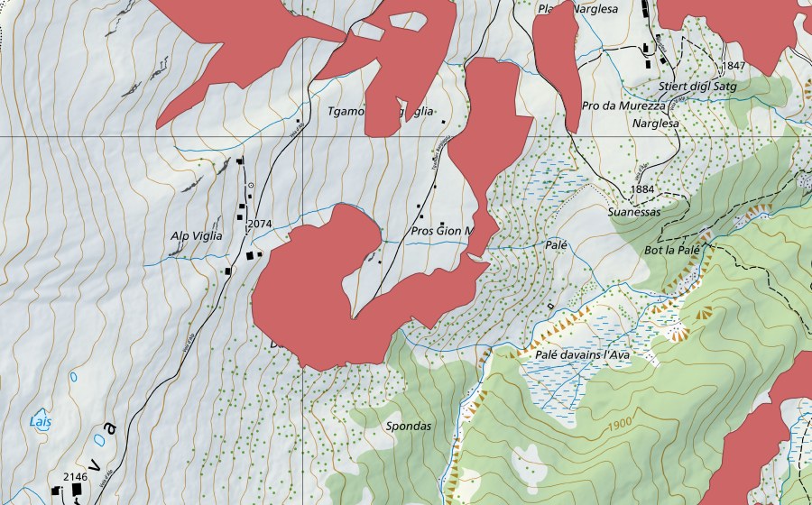 Carte nationale swisstopo avec le périmètre protégé de Alp da Stierva (Prairie sèche)