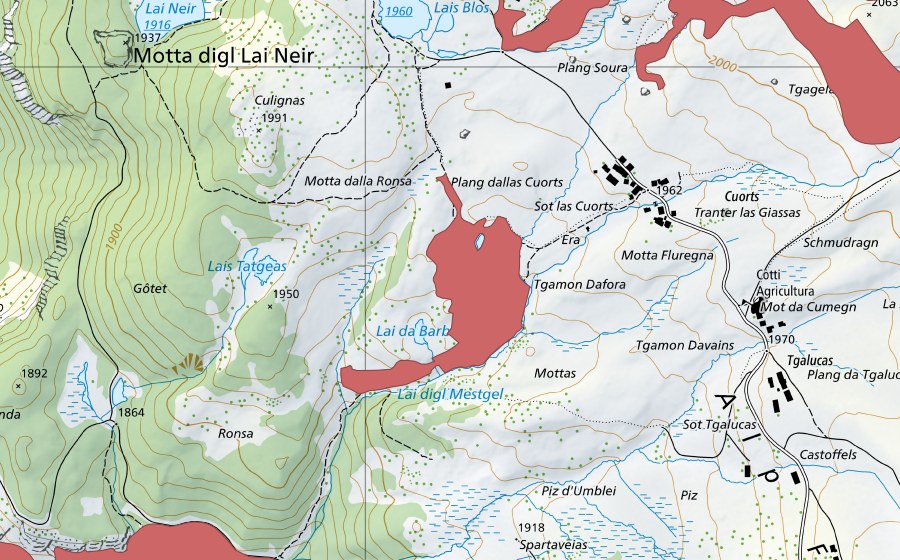 swisstopo national map showing the protected perimeter of Alp Flix (Dry meadow)