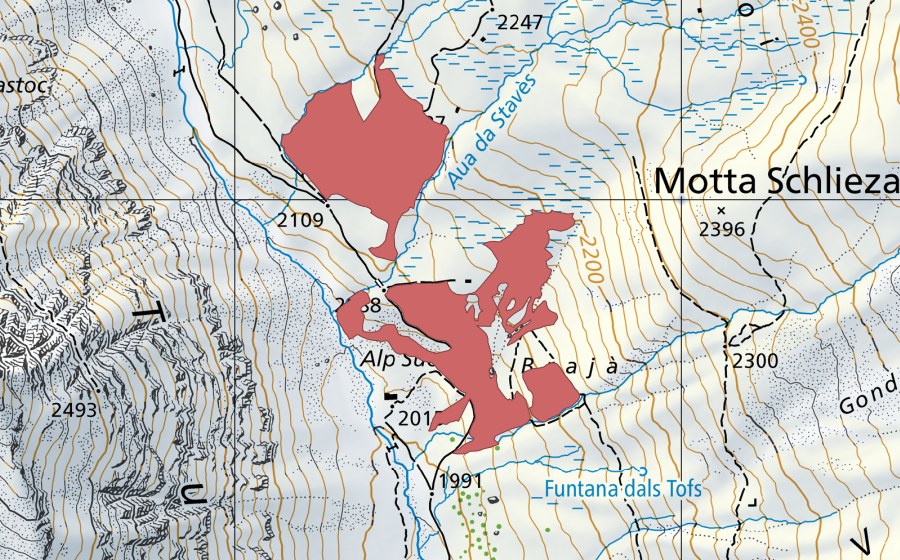 swisstopo national map showing the protected perimeter of Alp Suot (Dry meadow)