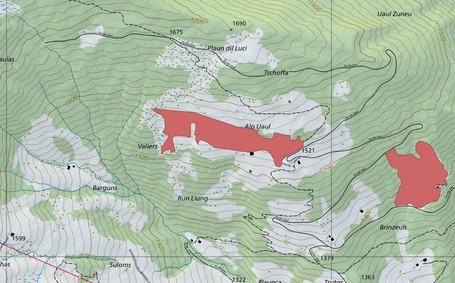 swisstopo national map showing the protected perimeter of Alp Uaul (Dry meadow)